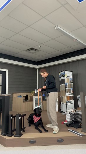 20 reactions | Ruby was a 4 week board and train with us maybe a year or year and half ago. She came in for Adventure Camp Boarding. She did good but was a little confused with the sit from the down position. But with guidance she got it. Putting in the reps is a huge deal. | Wilson's Dog Training | Facebook