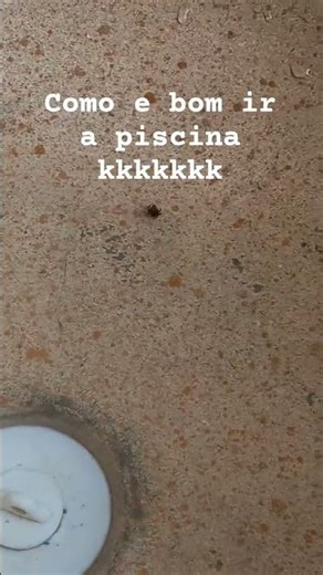 como é bom Banho de piscina