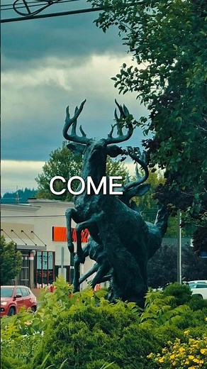 I Explored Kalispell, Montana 🏔️ (Hidden Gem!)