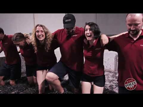 Port Wine and the Douro Valley