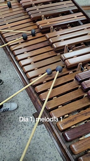 Aprende a Bailar Marimba en TikTok