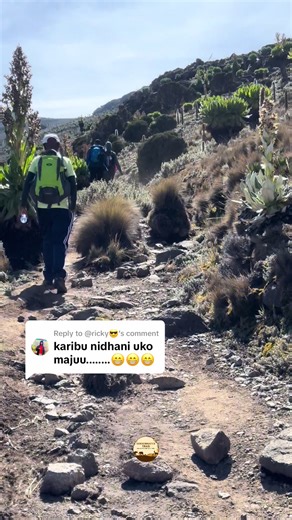 Replying to @@ricky😎 Mount Kenya Day Dash via Naro Moru Route. Date: 21st February Price: 4900/- Book with 2000 and pay balance later.