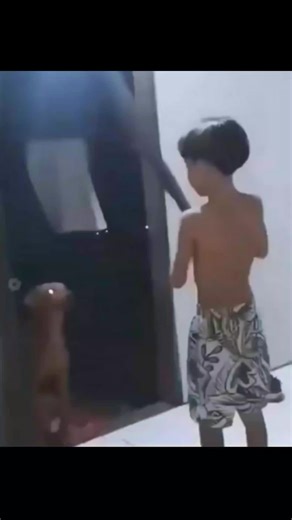 Dog's Hilarious Reaction to Papa Rocket