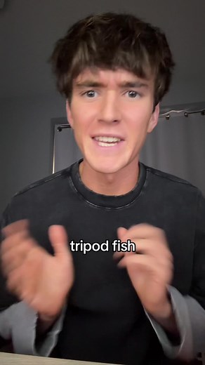 the life of a tripod fish is so sad😭✌️ #fyp #foryoupage #viral #trend #trending