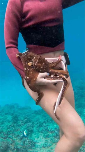 She’s Overjoyed to Meet an Octopus – You Won’t Believe Her Reaction!