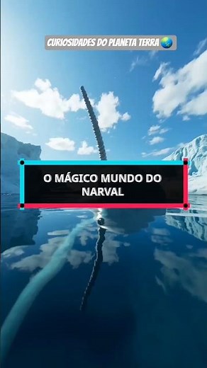 O Mágico Mundo Do Narval #curiosidades #oceanos #baleias #tubarão