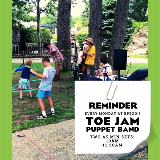 2.2K views · 12 reactions | Enjoy Toe Jam Puppet Band every Monday at the Buttonwood Park Zoo! Toe Jam will play two 45-minute shows at 10:00 am and 11:30 am. The cost is $10/family after admission. See you there! #zoo #buttonwood #buttonwoodzoo #buttonwoodparkzoo #bpzoo #toejampuppetband | Buttonwood Park Zoo | Facebook