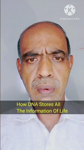 How DNA Stores All The Information Of Life