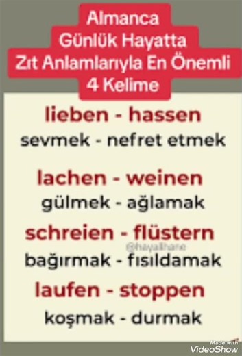 Almanca günlük hayatta Zıt anlamlarıyla en önemli 4 kelime #almanca #deutschlernen