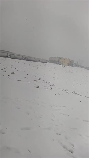 #المقطع_ترند_مشان_الناس_تعرفو اورفه🥷🦅 ساحت المتفع لايك عاد نشر الشعب الصيني مالو حل😂😂😂