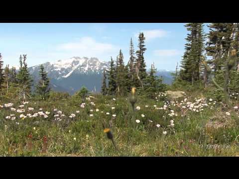 Julie Andrews - The Hills Are Alive The Sound of Music (Best viwed in 1080p HD)