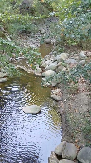 Secret Stream #lakemichigan