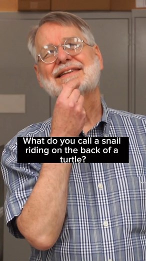 #MolluskMonday means another snail joke for you! | Carnegie Museum of Natural History