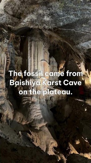 The Jawbone That Revealed Denisovans in Tibet