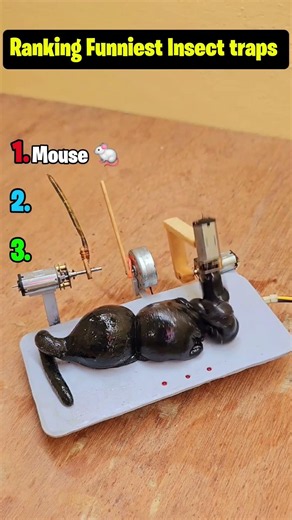ranking Funniest Insect traps! 😂