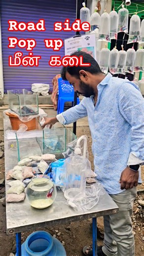 Road side மீன் கடை #aquariumlife #fish #fishkeeping #மீன் #fishshop