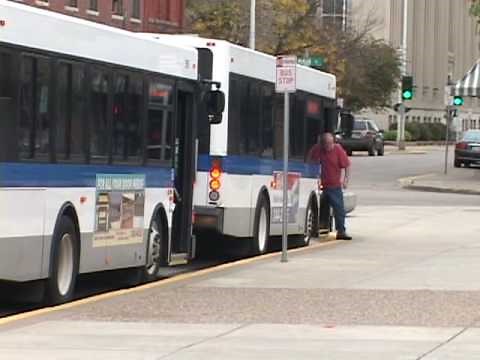 How to Ride the City Bus