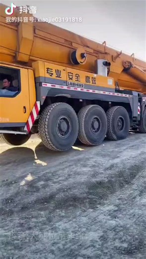 LIEBHERR LTM 1500 Maintenance services, technical guidance, spare parts supply. #crane #hoisting #liftingoperation🏗️💪