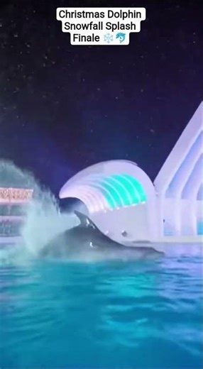 Christmas Dolphin Snowfall Splash Finale ❄️🐬 #dolphinshow #marineshow #dolphin #oceanlife #orcashow