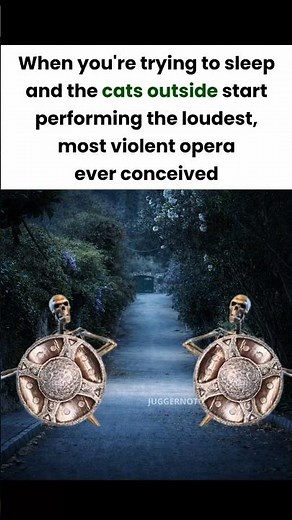 skeleton banging shield meme #memes #funnymemes