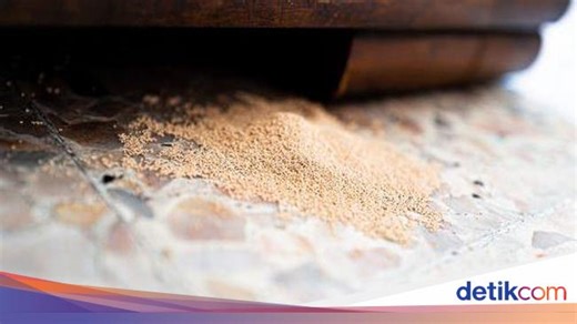 5 Cara Mudah Hilangkan Bubuk Kayu di Rumah