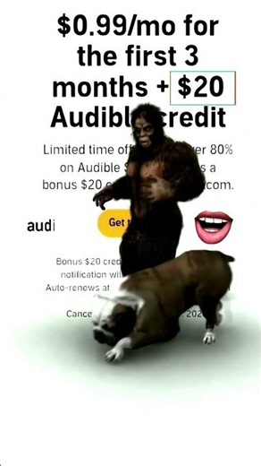 You can download audiobooks to listen to them on the go without an internet connection.