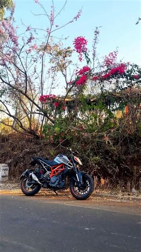 Dukey ❤️‍🩹👀 #bikelover #duke #duke390 #duke250 #duke200 #dukelovers #ktmlover #ktmduke #ktmstatus