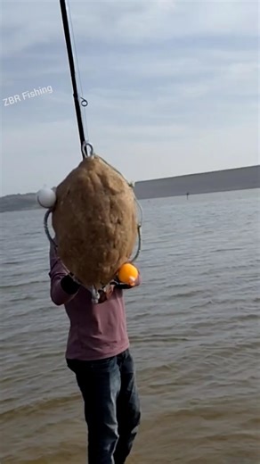 feeder casting on fishing rod | fish videos | feeder fishing videos #fishing #fish #shorts #carp