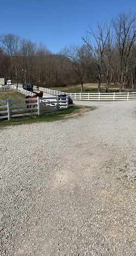 #2019DodgeDurangoPPV #firefighter #emt #publicsafetypov #ppv #emergencylights #code3