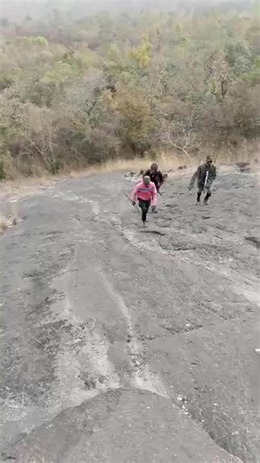 221K views · 5K reactions | As part of its ongoing efforts, the Vigilante Group of Nigeria FCT Command is currently conducting a search operation for kidnapped victims. #fypシ゚viralシfypシ゚ #abujasecurity #nigerianpoliceforcepartners #SayNoToCrimeNG #vgnfctcommand #communitysafety | Vigilante Group of Nigeria FCT Command | Facebook