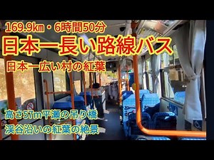 【日本一長い路線バス】で行く日本一広い村十津川村の紅葉の旅。奈良交通さんの新宮八木線６時間５０分沿線は世界遺産を含め見どころいっぱい。つり橋での恐怖体験も！！