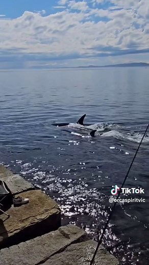 Magical Moment on the Breakwater in Victoria, BC