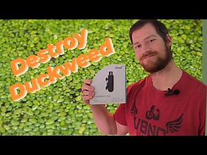 "Product Review: Oase Surface Skimmer 600 - The Ultimate Solution to Tackle Duckweed Troubles"