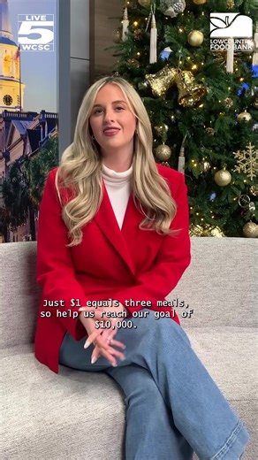 Live 5 and the Lowcountry Food Bank are working to support food insecure families in Coastal South Carolina! Donate to the Feeding Families Holiday Food Drive today by visiting Live5news.com/family | Live 5 News