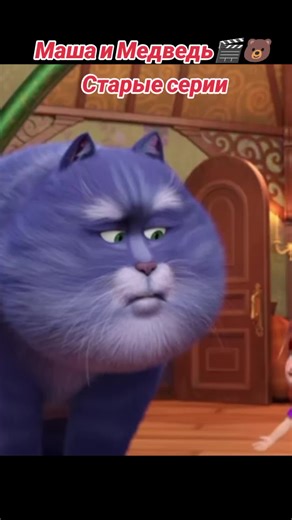 Глобальные рекомендации по выбору сапог