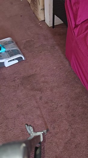 Hoover Carpet Cleaner Tips and Tricks for Spotless Rugs
