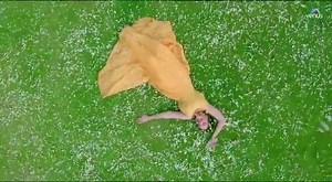 11K views · 219 reactions | SHOOT AT SPLENDOUR  | SPLENDOUR COUNTRY | Facebook