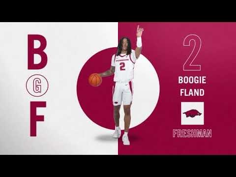 Arkansas VS UCA Basketball 12-14-2024