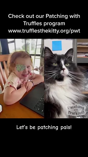 Patching with Truffles Program for Kids