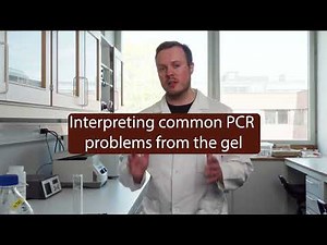 Episode 17 - "Interpreting Common PCR Problems from the Gel"