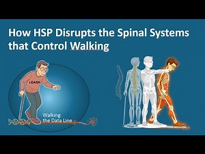 HSP, Walking, and the Spinal Systems | Why Walking Stops Being Automatic