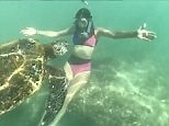 Nina Dobrev rocks a bikini as she meets a turtle in the ocean