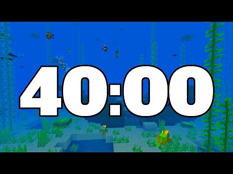40 MINUTE TIMER. MINECRAFT TIMER.