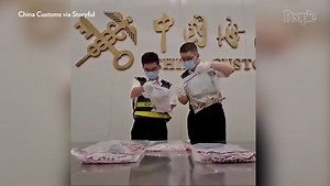 Man Trying to Smuggle Over 100 Live Snakes in His Pants Caught by Officials