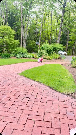 7.5K reactions | Hw can such little legs move so fast? | Al Roker | Facebook