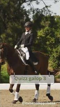 Quizz niveau Galop 3 avec une touche d'humour noir 😅