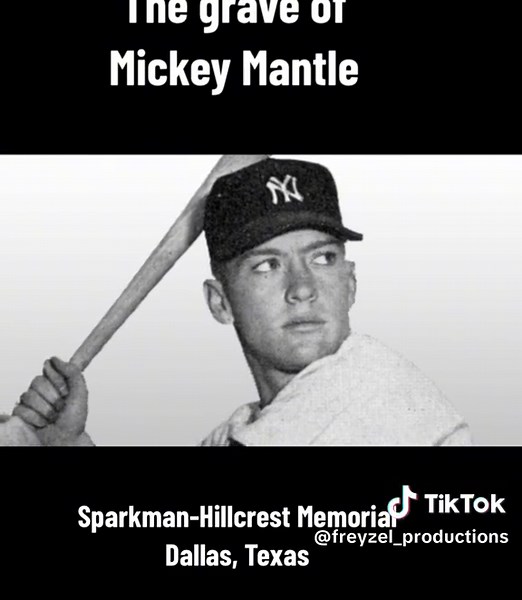 freyzel_productions on TikTok