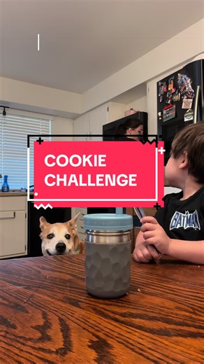 Cookie challenge. His mom and I were both a little shocked. #cookiechallenge #toddlerchallenge #coolaunt #funnytoddler #toddlertok