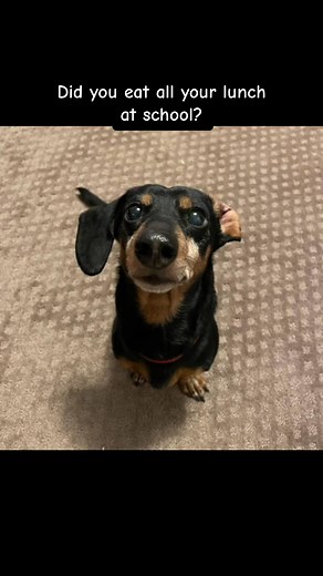 228_#fbreels #viral #fypシ #fyp #love #foryou #trending | Kira Price