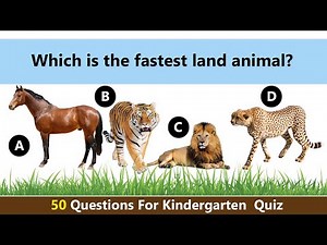 Kindergarten Quiz | Educational Video For Kids | Children Online Quiz | Age 3 to 8 Years Old